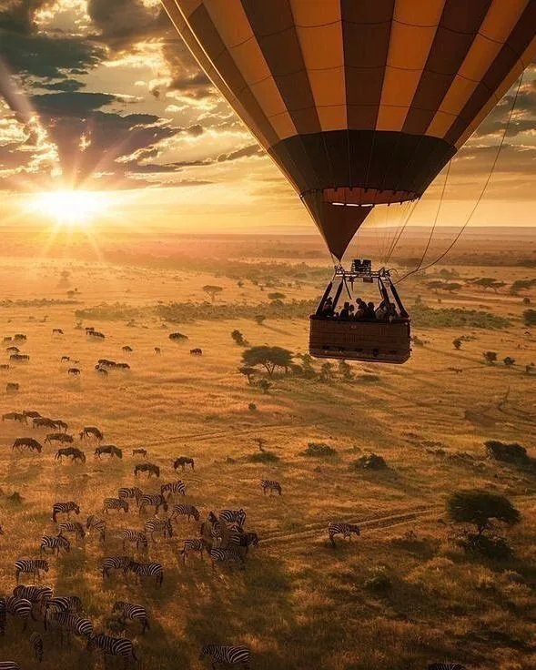 The magic of a Mara balloon safari