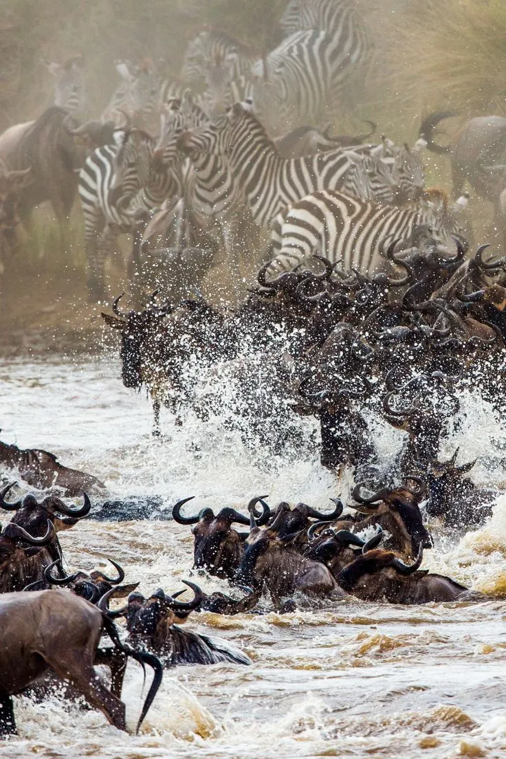 Chasing the Great Migration: month by month